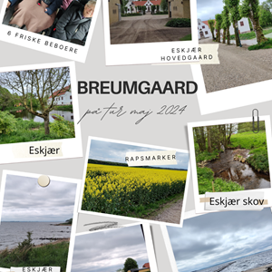 Breumgaard har i dag været på den smukkeste tur igennem Eskjær skov og nede forbi Lyby strand. På vejen der i mellem nød vi alle de smukke og velduftende rapsmarker. Maj 2024.