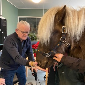 Beboerne på Glyngøre Plejecenter havde besøg af den dejlige islandske hest Silfur Hans - november 2022.
