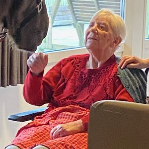 Beboerne på Glyngøre Plejecenter havde besøg af den dejlige islandske hest Silfur Hans - november 2022. 